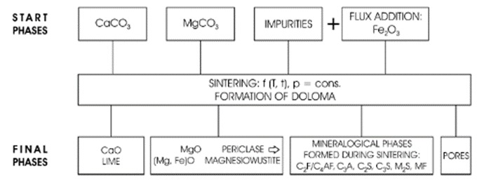microscop-m4.jpeg